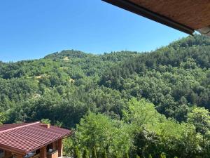 Guest House Vila Aleksa