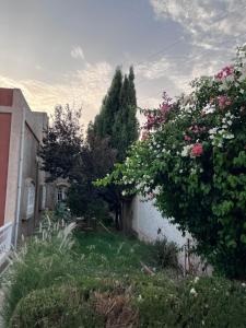 Riad de luxe à safi