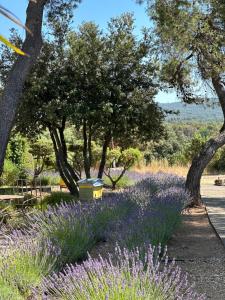 Hotels Le Phebus & Spa – Relais & Chateaux : photos des chambres