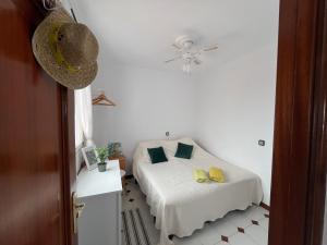 Family home in Barbate patio & Azotea