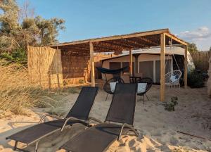 Каравана The Jungle