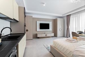 Palm studio in Axxis Nova