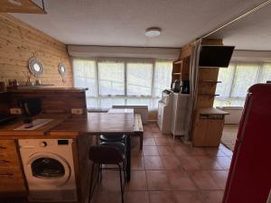 Appartements Studio station Puy-Saint-Vincent : photos des chambres