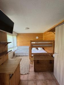 Appartements Studio station Puy-Saint-Vincent : photos des chambres