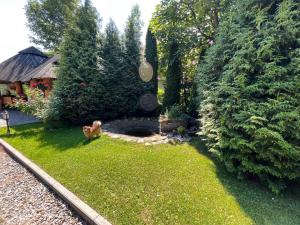 Pokoje Gościnne Skupniowie