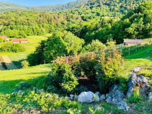 Minicottage Casa de Lipa