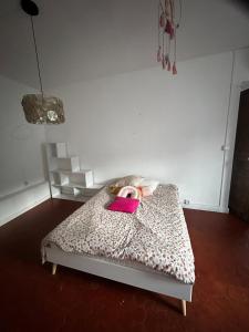 Appartements Superbe Appartement au coeur d ajaccio : photos des chambres