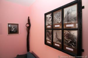 Apartments Bovec House Center