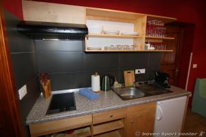 Apartments Bovec House Center 