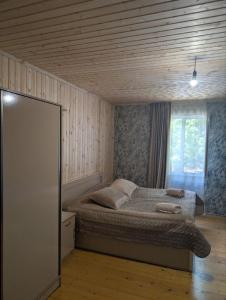 LAMPAREULA - ლამპარეულა