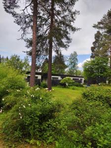 Honkatilat majoitus as 3