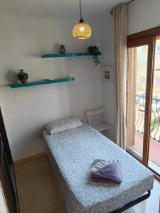 carabeo perla POOL CENTRO