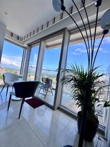 Zebra Luxe Loft Studio with patio