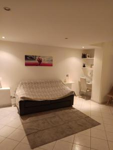 Baladi monolocale in centro