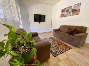 Sitio Boa Esperança II - 20km de Monte Verde