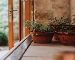 Appartements Gite - Holiday Home Vent Cers : photos des chambres