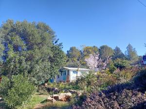 La casa del algarrobo