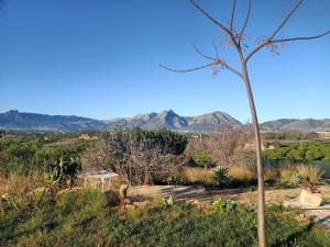 La casa del algarrobo