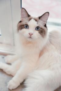 House of Patcha เรือลพัชชา Hostel and Salon