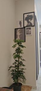 STUDIO Fakhr - Luxury apartment in Cairo