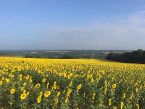 Gîte champenois les voisins