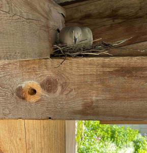 Gîte champenois les voisins