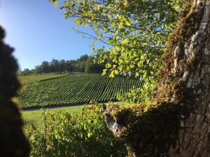 Maisons de vacances Gite champenois les voisins : photos des chambres