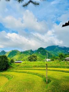 Du Già Khánh Chung homestay