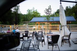 Barbana Lipizzans Camper Park - Pitches for Campers and Tents
