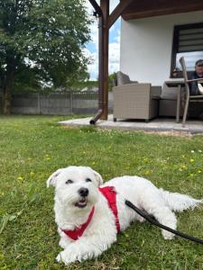 Urocze Roztocze Jacnia - domek 1