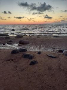 Cozy apartment near the sea