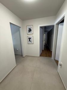 Paradiso Arx I