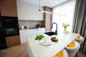 Luxury penthouse with large terrace