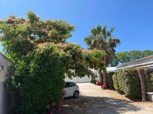 Appartements Les Hirondelles : photos des chambres