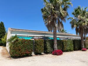 Appartements Les Hirondelles : photos des chambres