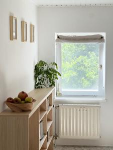Marias Orchard Cottage - Nature Retreat in Slovenia