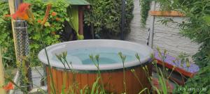 Petúnia-dom s dvoma spálňami