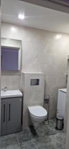 Apartamentai Grigiškes