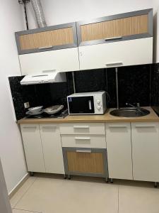 Apartament1 Faleza Nord