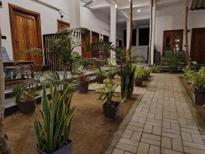 Alice Rest Arugambay