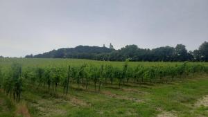 Apartamenty Kraków-Bielany