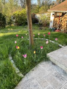 B&B / Chambres d'hotes Longere sur la route des Chateaux : photos des chambres