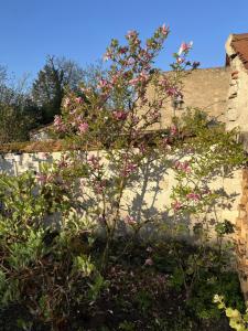 B&B / Chambres d'hotes Longere sur la route des Chateaux : photos des chambres