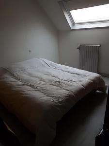 Grand appartement centre ville