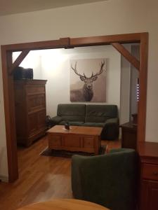 Grand appartement centre ville