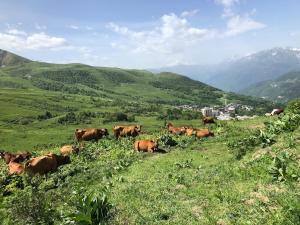 Appartement 4 ou 6 pers vue montagne