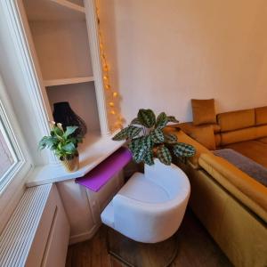 Maison charmante, années 30 avec extérieur à lIle Verte