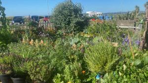 Explorer Room Ensuite Mountain View 3rd floor