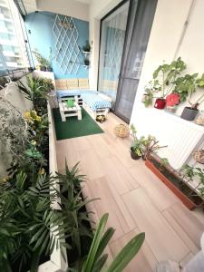 Apartament langa mare