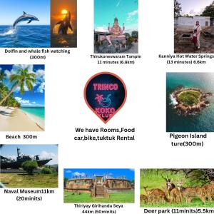 Trinco Koko Klub - Strutture non classificate a Trincomalee